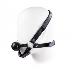 Head Restraints with Gag